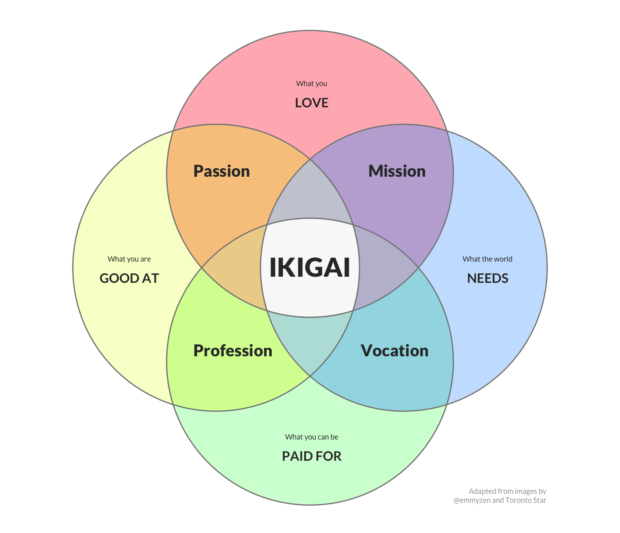 ikigai, quete de sens, vision, vie
