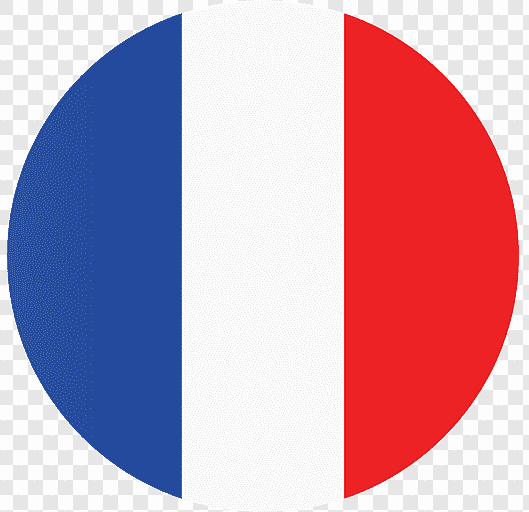 castellano spanish language