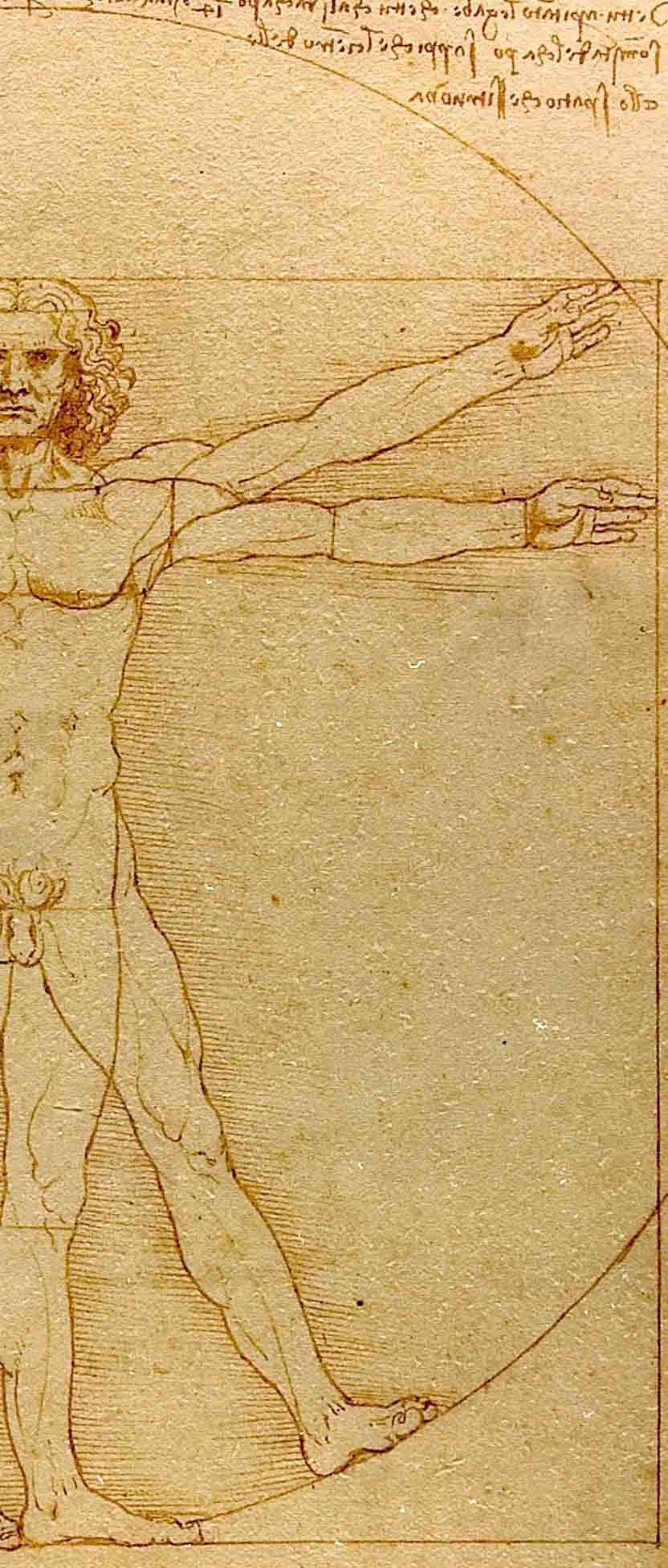 L'homme de Vitruve est un symbole d'équilibre, d'harmonie et de maîtrise intérieure. Il encourage l'introspection et la croissance.